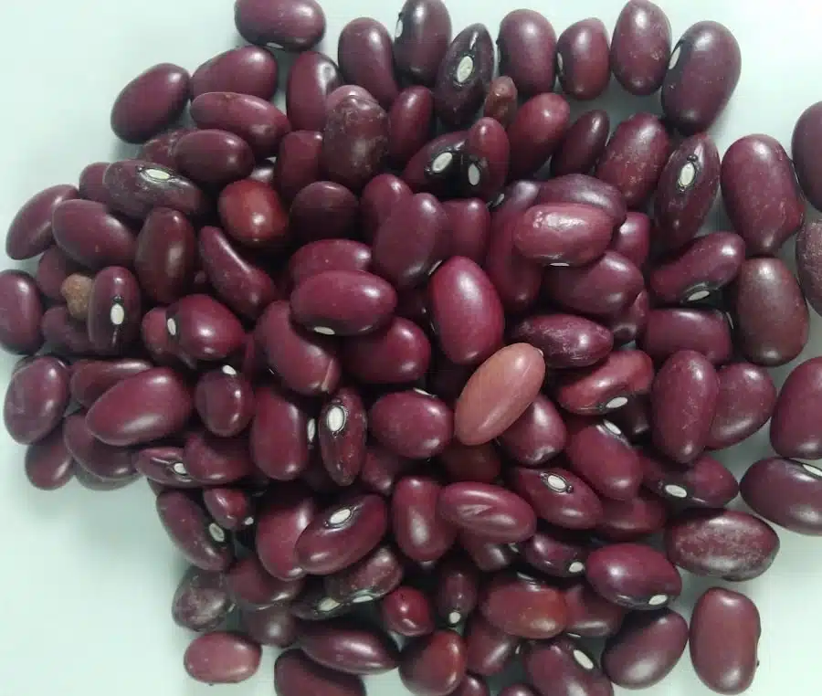 حبوبات دستچین شده