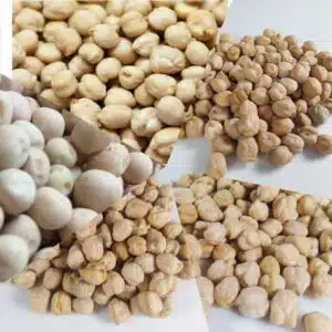 شناخت نخود و انواع آن Pea