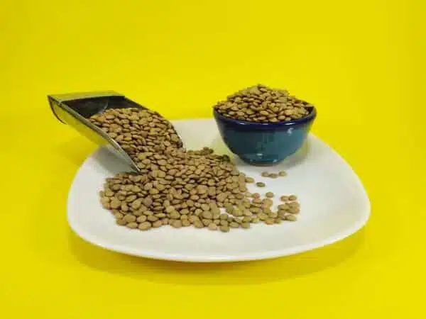 عکس عدس اردبیل اعلا 30 کیلویی عمده