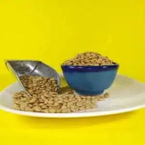 عدس خارجی روس