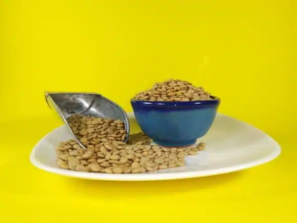 عدس خارجی روس