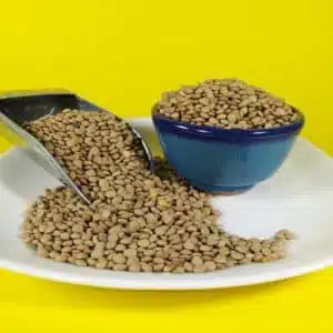 عکس عدس ریز خارجی کانادایی عمده 45 کیلویی