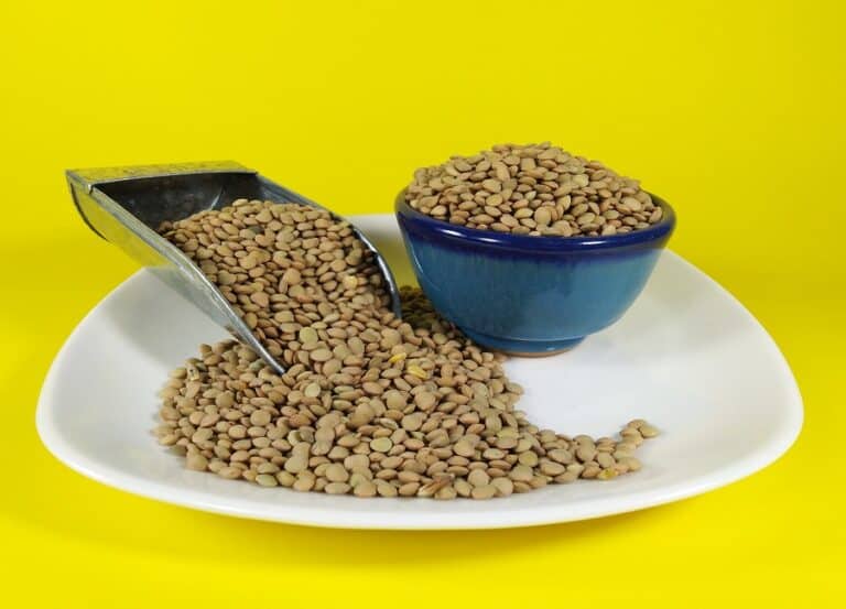 عدس ریز خارجی کانادایی عمده 45 کیلویی