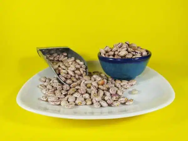 لوبیا چیتی شیراز بسته 900 گرمی