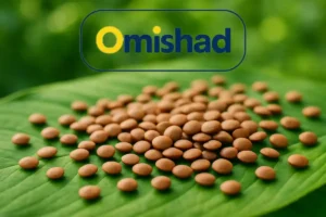دانه‌های عدس اردبیل اعلا بسته 900 گرمی امیشاد روی برگ سبز تازه با پس‌زمینه طبیعی و روشن.
