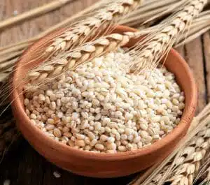 جو و خواص و فراورده‌های آن