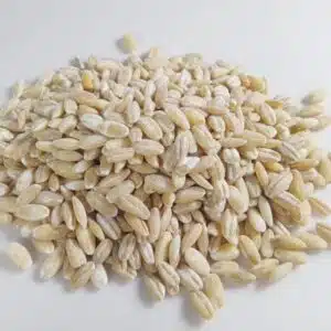 جو پوست کنده اعلا بسته