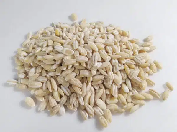 جو پوست کنده اعلا بسته