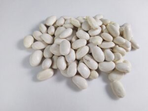 در مورد لوبیا چه می‌دانیم؟ Kidney bean Phasaeolous vulgaris