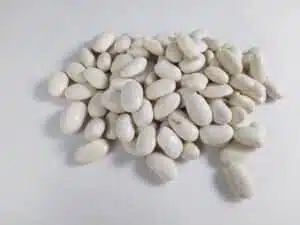 در مورد لوبیا چه می‌دانیم؟ Kidney bean Phasaeolous vulgaris