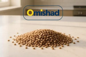 توده‌ای از عدس درشت کانادایی امیشاد روی سطح سنگی روشن آشپزخانه با نور طبیعی .