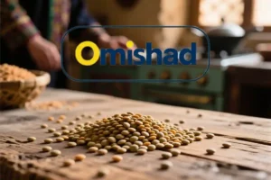 توده‌ای از عدس ریز خارجی کانادایی عمده 45 کیلویی امیشاد روی میز چوبی آشپزخانه سنتی با نور گرم.