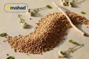 گندم پوست کنده حلیمی آبشار اصفهان عمده ۵۰ کیلویی 2 دانههای گندم پوست کنده حلیمی آبشار اصفهان عمده ۵۰ کیلویی بهصورت فله روی سطح روشن با نور طبیعی و نمای نزدیک.