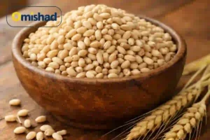 جو پوست کنده اعلا عمده ۲۵ کیلویی 2 جو پوست کنده اعلا عمده ۲۵ کیلویی در کاسه چوبی با دانههای سالم و روشن روی سطح چوبی طبیعی.