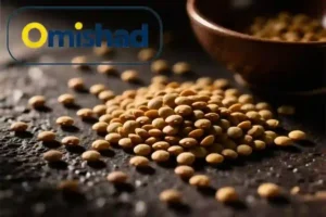عدس سبز اردبیل امیشاد پخش‌شده روی سطح تیره با نور گرم و ظرف سفالی در پس‌زمینه.