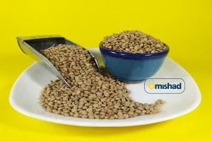 دانه‌های عدس ریز سبز در یک کاسه آبی و یک پیمانه فلزی که بر روی بشقابی سفید با پس‌زمینه زرد روشن قرار گرفته‌اند.