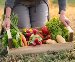 organic ارگانیک