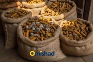 کیسه‌های کنفی زردچوبه سالم و خشک شده در نور طبیعی برای بررسی کیفیت و استاندارد محصول.