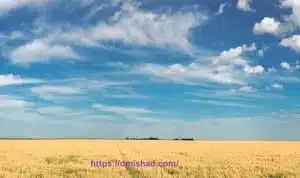 اخبار جو دوسر در ایران و جهان