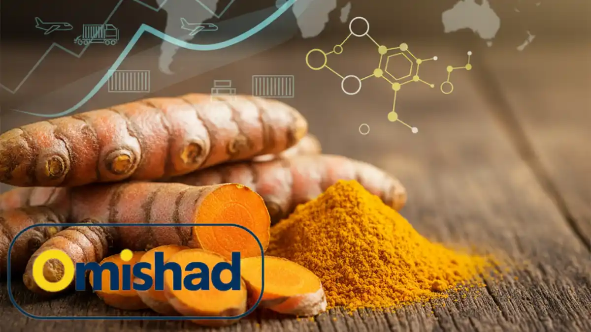 قیمت زردچوبه ۱۴۰۵ | نوسانات بازار و خرید عمده | امیشاد