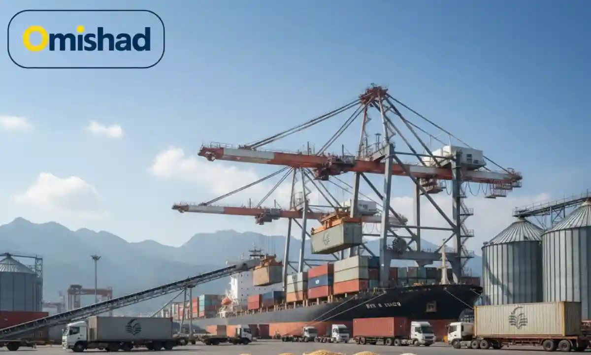 بندر فعال صادرات محصولات کشاورزی و قیمت حبوبات و غلات