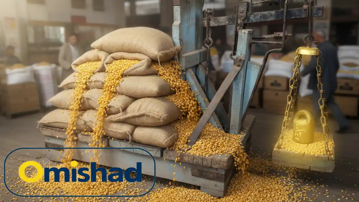 قیمت لپه ۱۴۰۵ | بررسی بازار و خرید عمده لپه