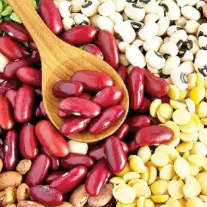 انواع حبوبات رنگارنگ شامل لوبیا قرمز، چشم‌بلبلی و نخود