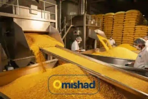 تجارتخانه لپه 1 خط تولید صنعتی لپه با دستگاههای سورت و انتقال دانه در کارخانه فرآوری امیشاد.