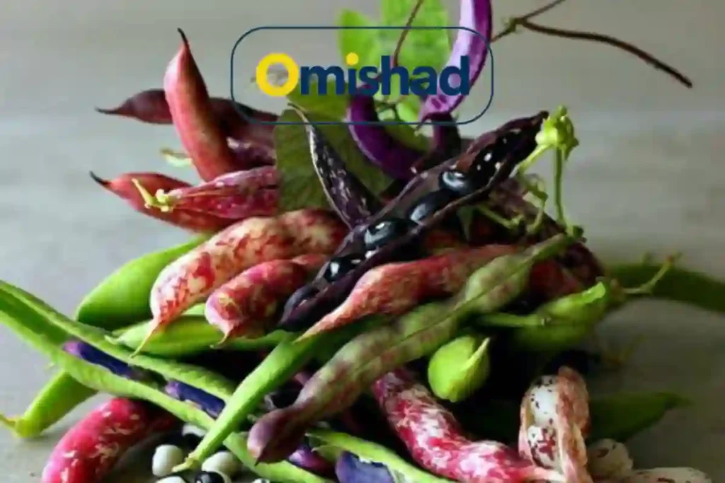 در مورد لوبیا چه میدانیم؟ 1 غلافهای رنگارنگ لوبیا شامل لوبیا قرمز، سبز و سیاه تازه روی زمینه طبیعی.