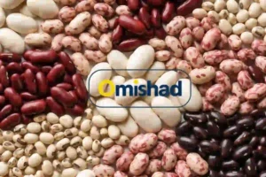 تجارتخانه لوبیا | خرید آنلاین عمده انواع لوبیا 1 چیدمان متنوع انواع لوبیا سفید، قرمز، چیتی و سیاه با دانههای سالم و درشت. در صفحه تجارتخانه لوبیا | خرید آنلاین عمده انواع لوبیا امیشاد.